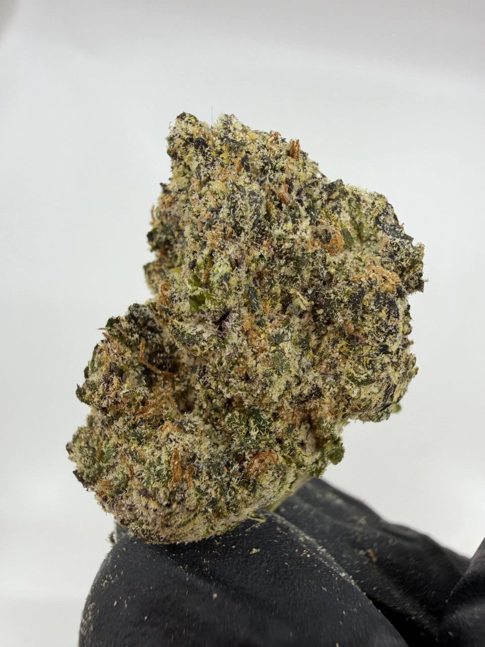 Purple Diamonds 🇺🇸 | פרפל דיימונדס